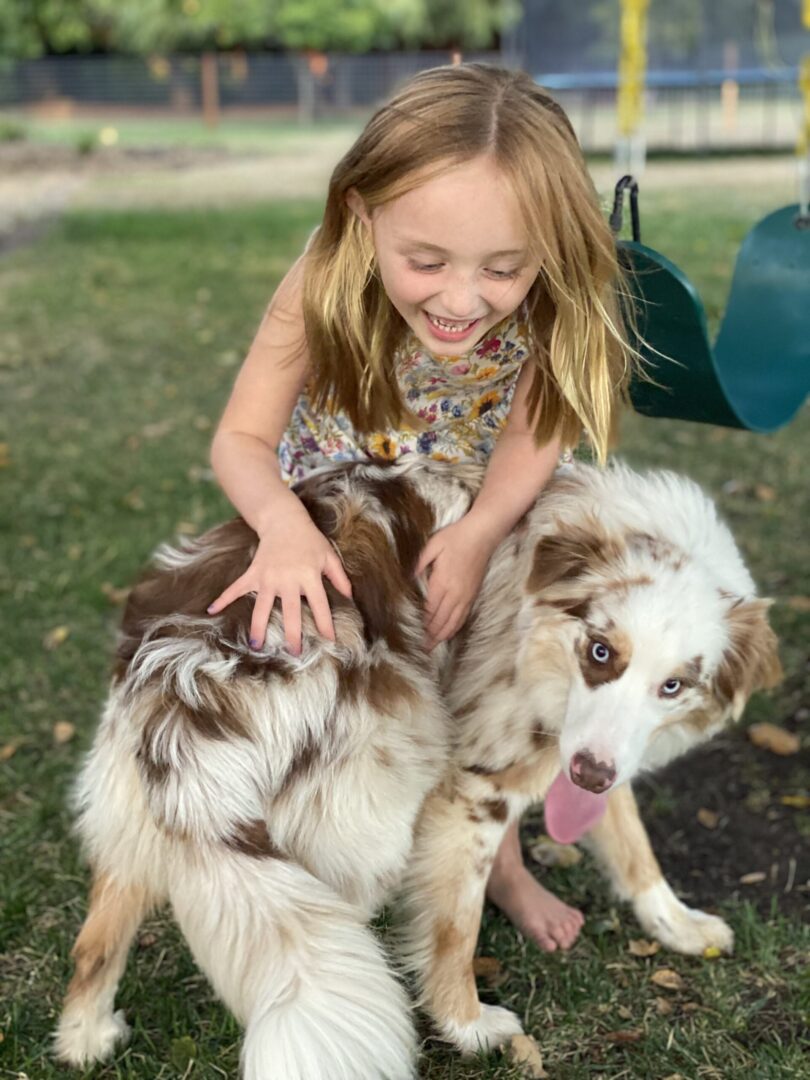 a little girl playing with a brown dog on a play ground