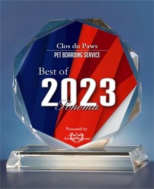 An award of best of 2023 ponama